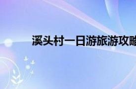 溪头村一日游旅游攻略（关于溪头村旅游攻略）