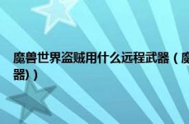 魔兽世界盗贼用什么远程武器（魔兽世界暗夜精灵潜行者能带什么兵器(武器)）