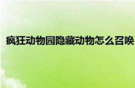 疯狂动物园隐藏动物怎么召唤（疯狂动物园隐藏动物怎么捕捉）