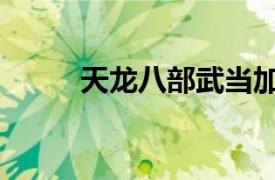 天龙八部武当加点（快来看看吧）