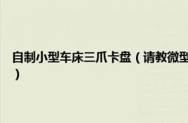 自制小型车床三爪卡盘（请教微型小木工工车床用三爪卡盘好还是4爪的好）