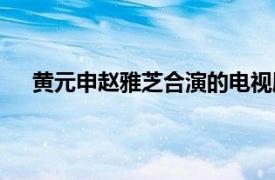 黄元申赵雅芝合演的电视剧（黄元申赵雅芝合作电影）