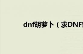 dnf胡萝卜（求DNF萝卜游侠详细使用过程）