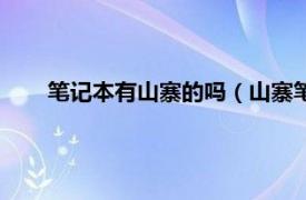 笔记本有山寨的吗（山寨笔记本电脑可以买吗在淘宝上）