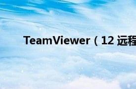 TeamViewer（12 远程软件安装方法及使用方法）