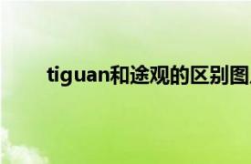 tiguan和途观的区别图片（tiguan和途观的区别）