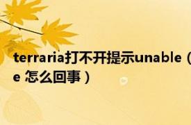 terraria打不开提示unable（to find a version of the runtime 怎么回事）