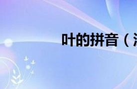 叶的拼音（汉字叶的拼音）