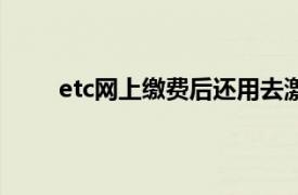 etc网上缴费后还用去激活吗（etc网上缴费系统）