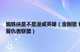 蜘蛛侠是不是漫威英雄（金刚狼 蜘蛛侠不也是漫威的超级英雄吗为啥没进复仇者联盟）