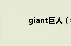 giant巨人（李美珠 赵珉宇）