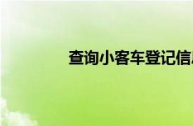 查询小客车登记信息（查询小客车指示）