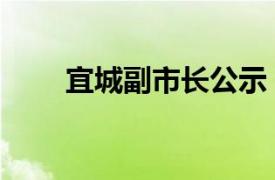 宜城副市长公示（宜城副市长尚谨）