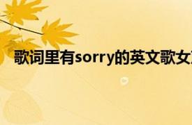 歌词里有sorry的英文歌女声（歌词里有sorry的中文歌）