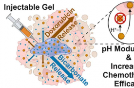 新的药物输送系统有潜力改善癌症治疗