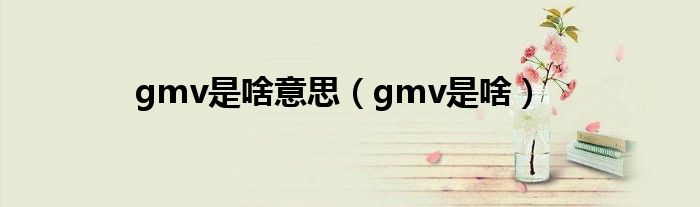 gmv是啥意思（gmv是啥）