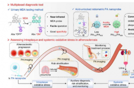 使用氧化应激生物标志物触发的多重仪器诊断动脉粥样硬化