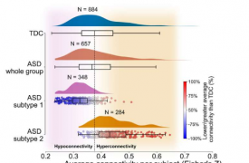 更好地了解自闭症患者大脑变化的新研究