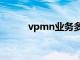 vpmn业务多少钱（vpmn业务）