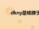 dkny是啥牌子（dkny是什么品牌）