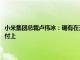 小米集团总裁卢伟冰：确有在开发新车型，但目前精力主要在保小米SU7交付上