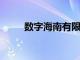 数字海南有限公司董事长吴成被查