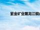 紫金矿业黑龙江铜山铜矿新增铜资源量365万吨