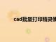 cad批量打印精灵使用方法（cad批量打印精灵）