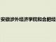 安徽涉外经济学院和合肥经济学院什么关系（安徽涉外经济学院）