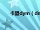 卡盟dym（dmz卡盟卡盟平台官网）