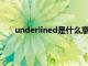 underlined是什么意思（understand是什么意思）