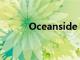 Oceanside 翻译（oceanside）