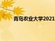 青岛农业大学2021投档（青岛农业大学投档线）