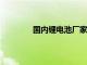 国内锂电池厂家 50家（国内锂电池厂家）