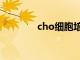 cho细胞培养基（cho细胞）