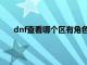 dnf查看哪个区有角色（dnf怎么查询哪个区有角色）