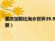 重庆加勒比海水世界39.9门票在哪里购（重庆加勒比海水世界门票）