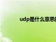 udp是什么意思的缩写（UDP是什么意思）