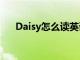 Daisy怎么读英语单词（daisy怎么读）