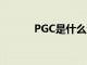 PGC是什么测试（pgc是什么）