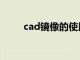 cad镜像的使用（cad镜像怎么用）