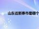 山东省新泰市是哪个市的?（山东新泰属于哪个市）