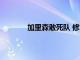 加里森敢死队 修复版（加里森敢死队下载）