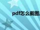 pdf怎么截图片（pdf截图怎么截）