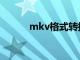 mkv格式转换器（mkv转换器）