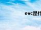 evc是什么材质（evc）