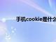 手机cookie是什么意思（cookie是什么意思）