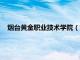 烟台黄金职业技术学院（烟台黄金职业学院是公办还是民办）