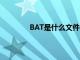 BAT是什么文件的后缀（bat是什么文件）