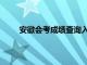 安徽会考成绩查询入口网站（安徽会考成绩查询）